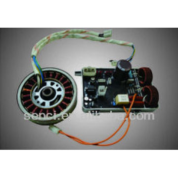 Inverter Brushless Alternator